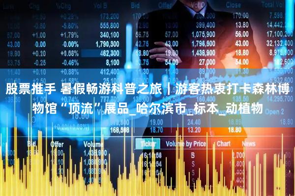 股票推手 暑假畅游科普之旅｜游客热衷打卡森林博物馆“顶流”展品_哈尔滨市_标本_动植物