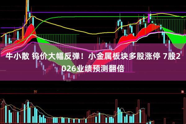 牛小散 钨价大幅反弹！小金属板块多股涨停 7股2026业绩预测翻倍
